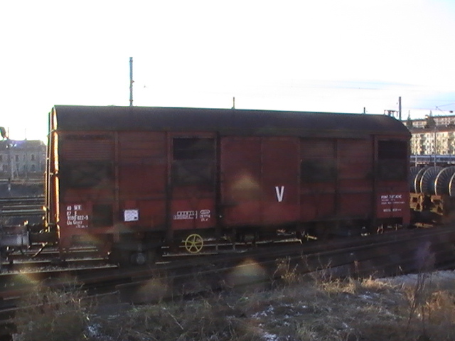 PIC_5367.JPG