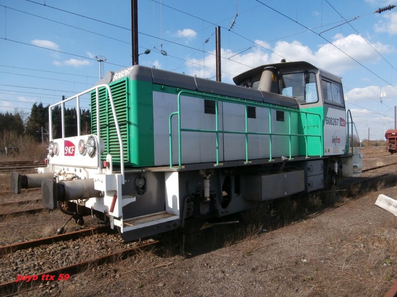 Y 8267=23.JPG