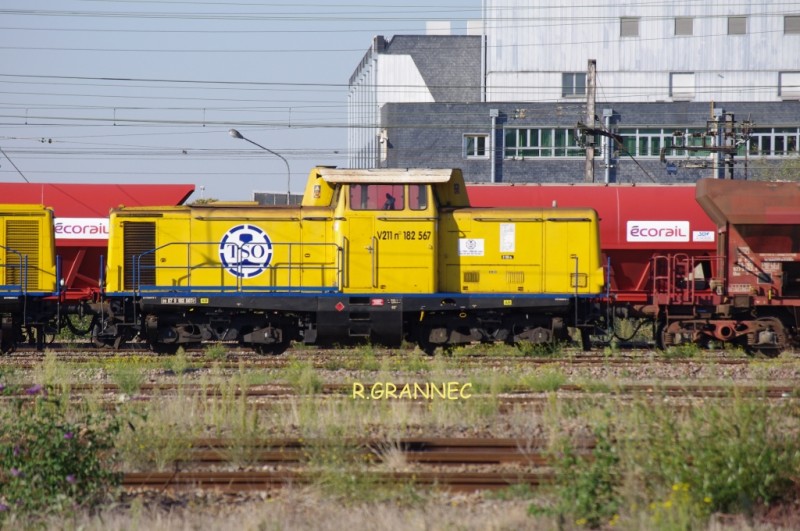 TSO6.jpg