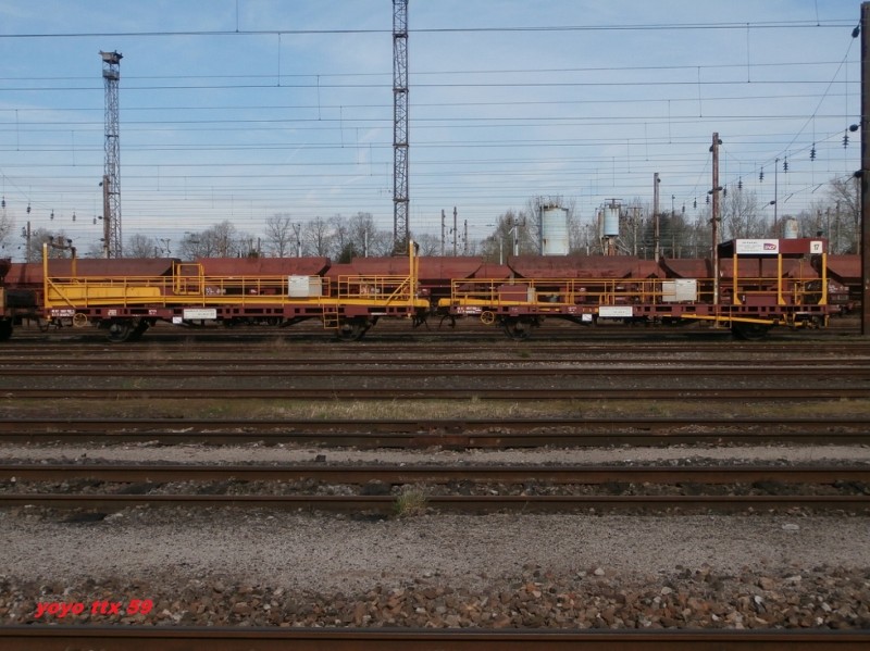 TLRS N° 17=1.JPG