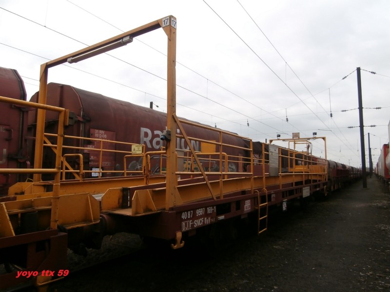 TLRS N° 17=11.JPG