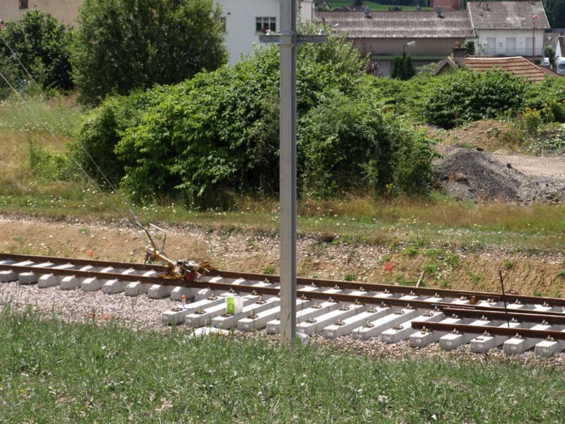 P8011503.JPG