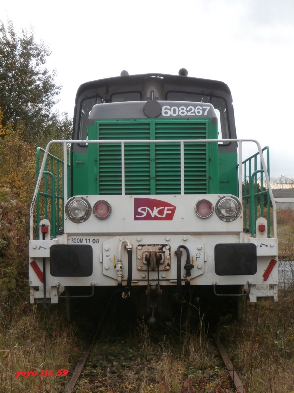 Y 8267=36.JPG
