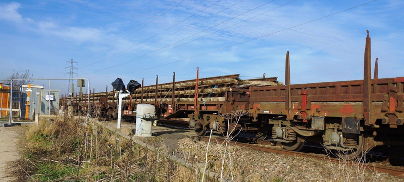 61734 (2016-12-06 Manicourt Mesnil) (3).jpg