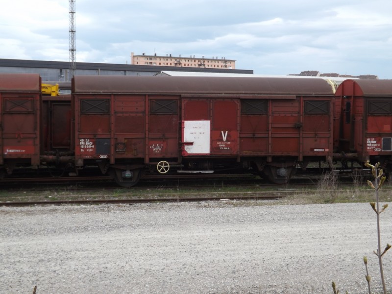 DSCF5574_zpsemy5rhwd[1].jpg
