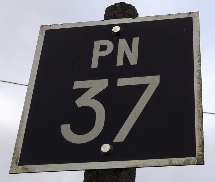 PN 37.JPG
