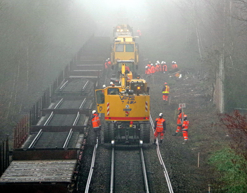 2017-01-16 Ham (4).jpg