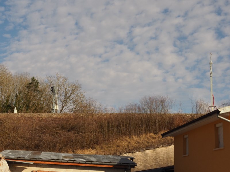 P2190438.JPG