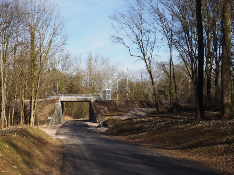 P2250472.JPG