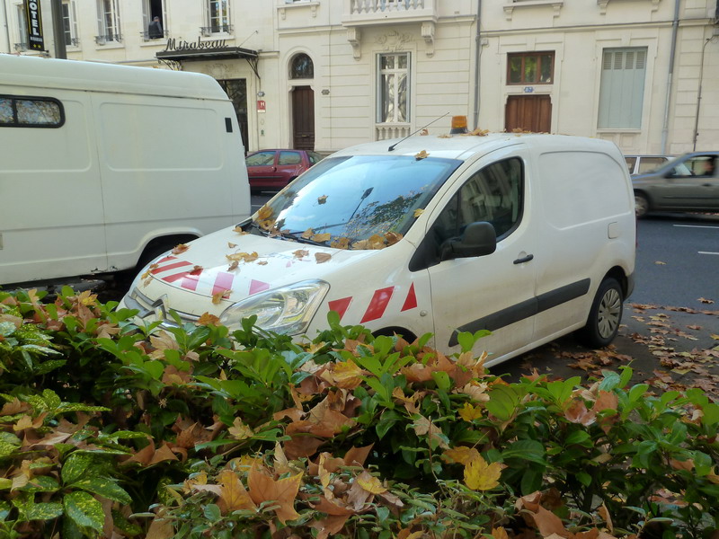 Citroën Berlingo (2015-11-07 Tours) DL-303-DC (1).jpg