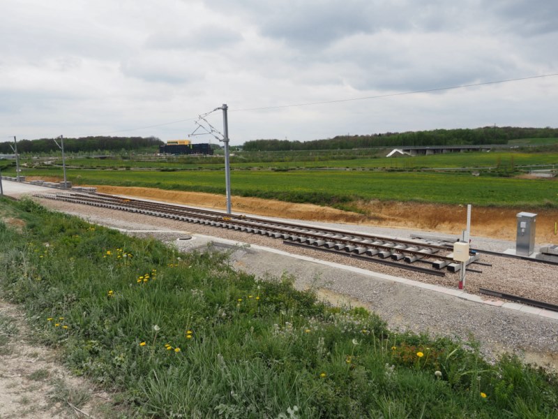 P4151222.JPG