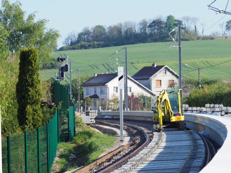 P4291519.JPG