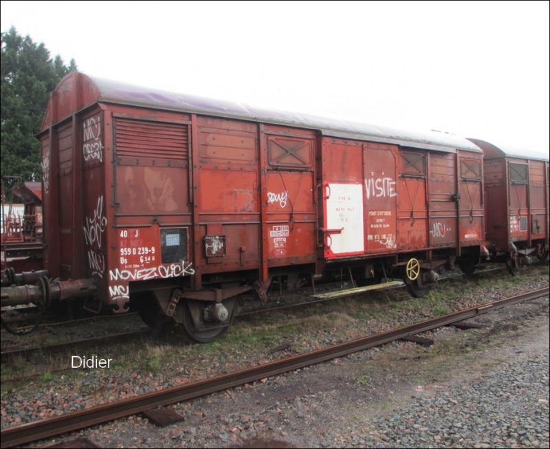 9590239-9UsG54-6LLQ022014.jpg