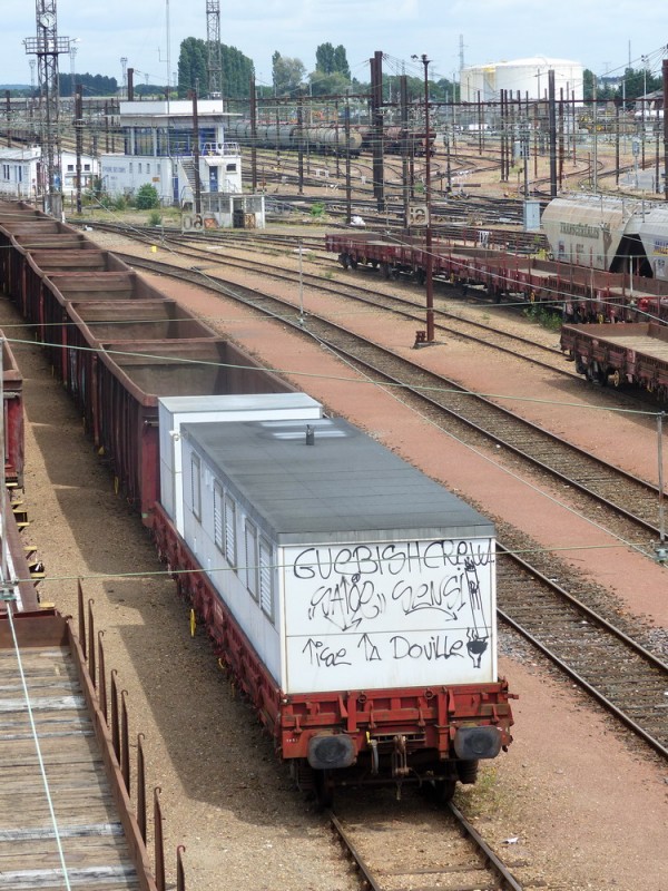 80 87 979 4 732-8 Uas R55 6 F SNCF-TR (2017-06-04 SPDC) (2).jpg
