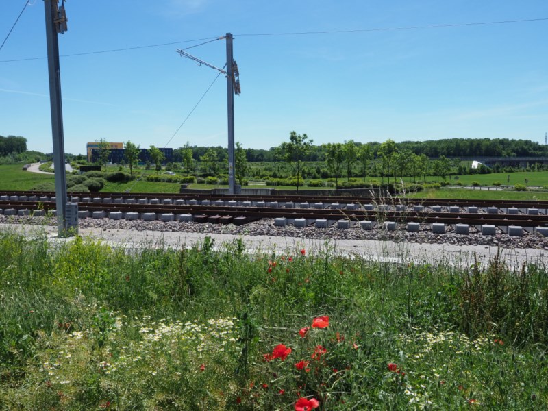 P6112265.JPG