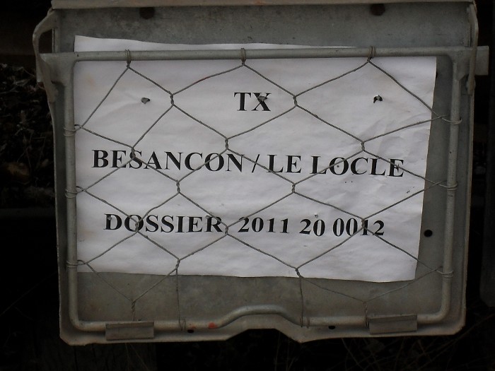 SDC11488.JPG