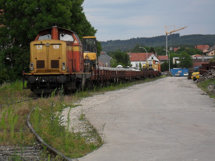 SDC11494.JPG