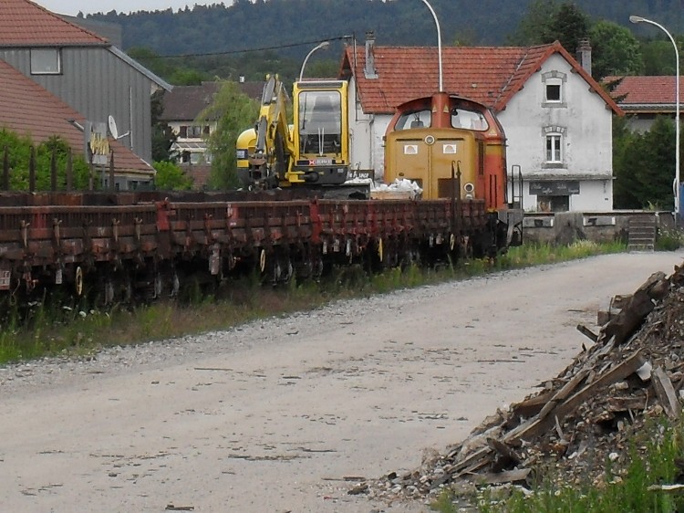 SDC11487.JPG
