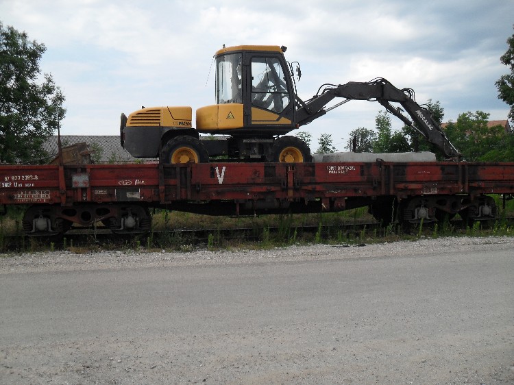 SDC11486.JPG