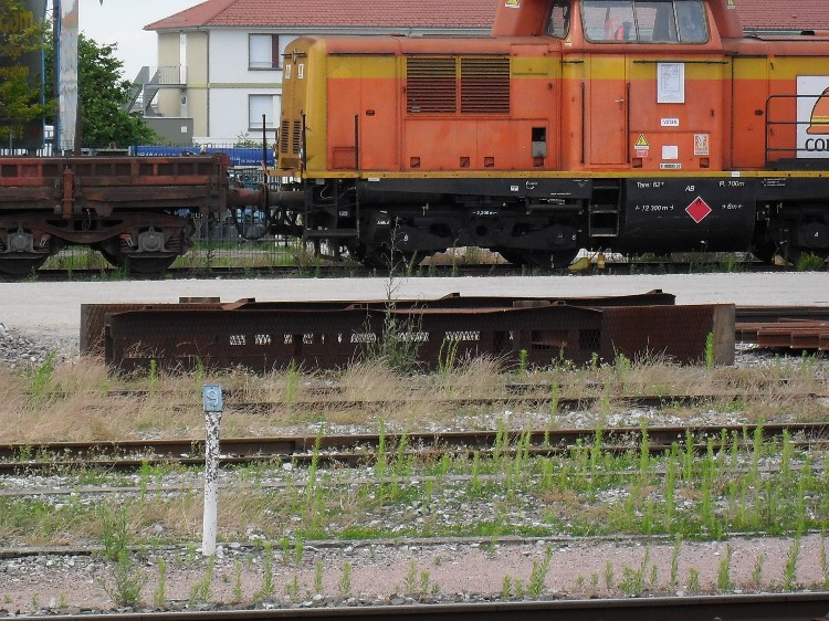 SDC11508.JPG