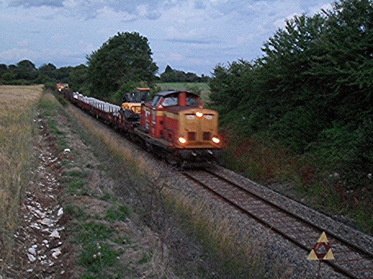 SDC11512.JPG