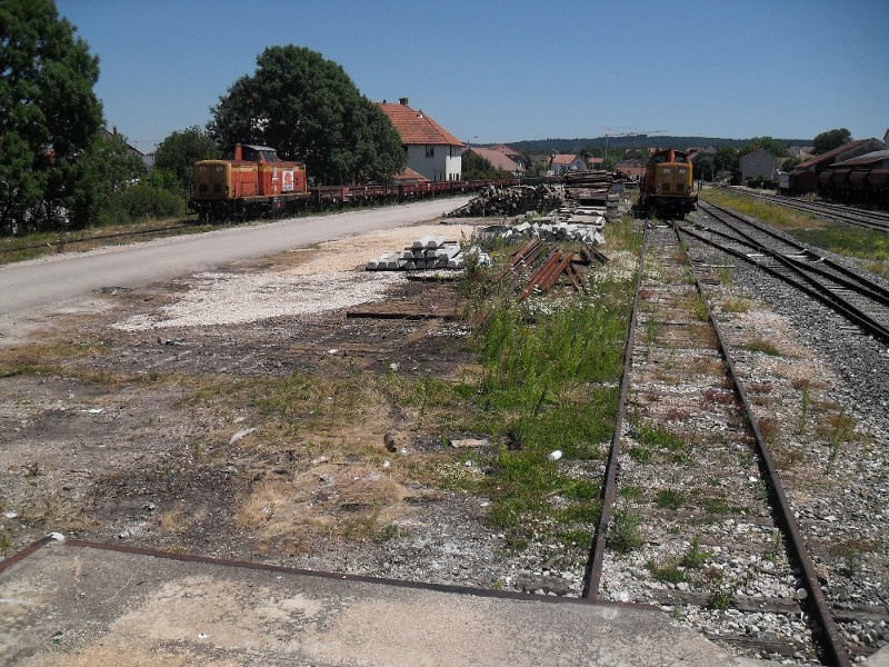 SDC11601.JPG