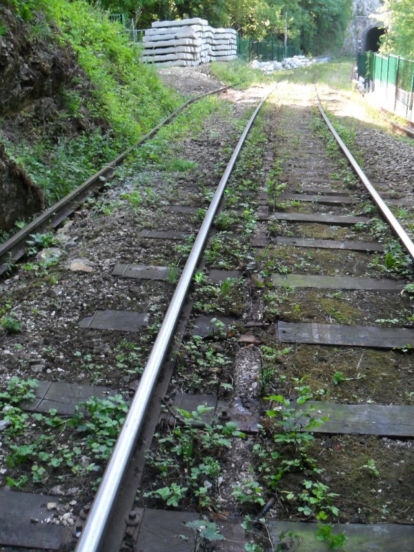 SDC11606.JPG