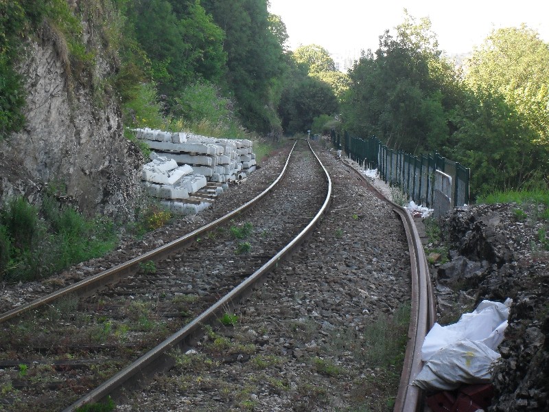 SDC11607.JPG