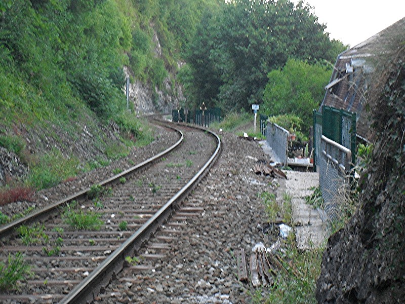 SDC11608.JPG