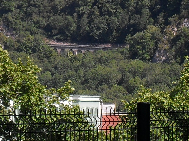 SDC11614.JPG