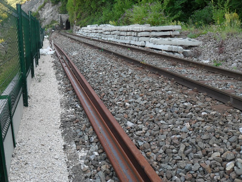 SDC11613.JPG
