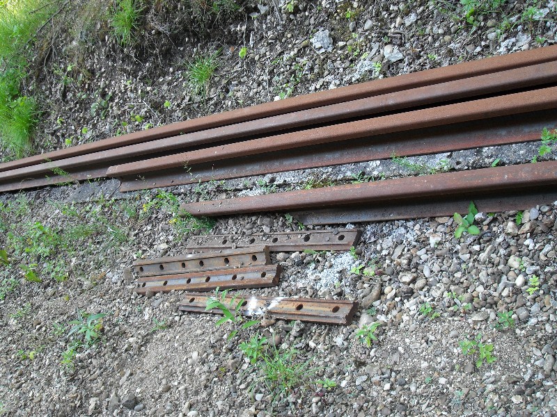 SDC11630.JPG