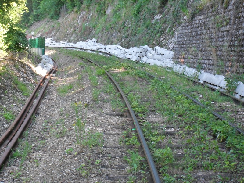 SDC11629.JPG