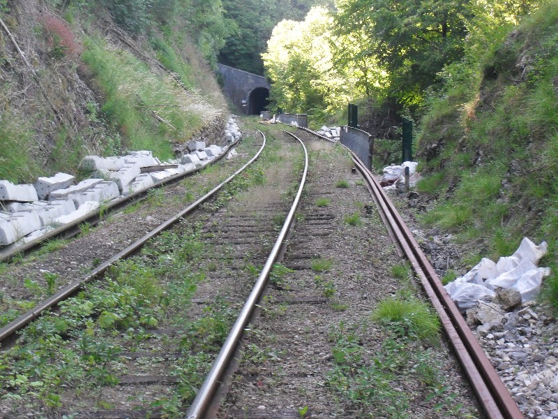 SDC11627.JPG