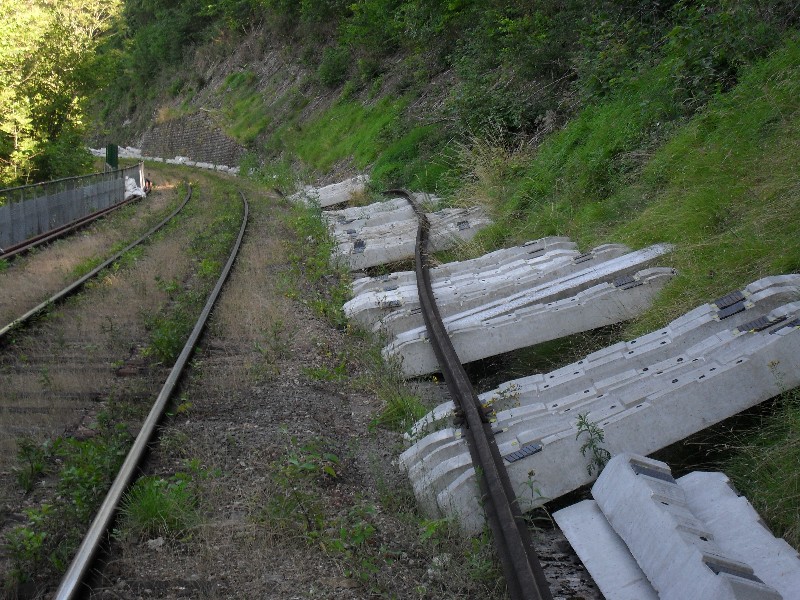 SDC11626.JPG