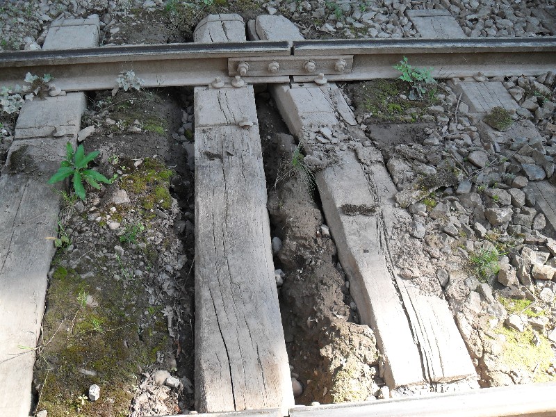 SDC11633.JPG