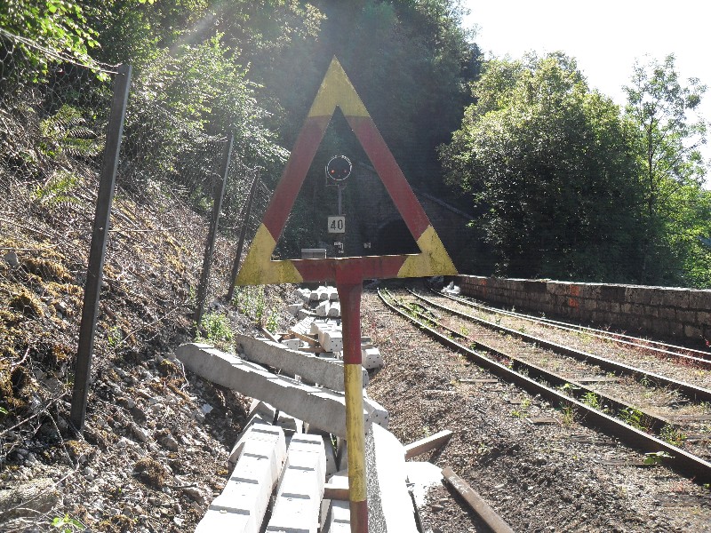 SDC11644.JPG