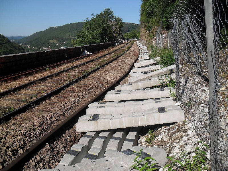 SDC11643.JPG