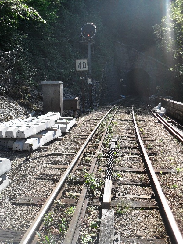 SDC11641.JPG