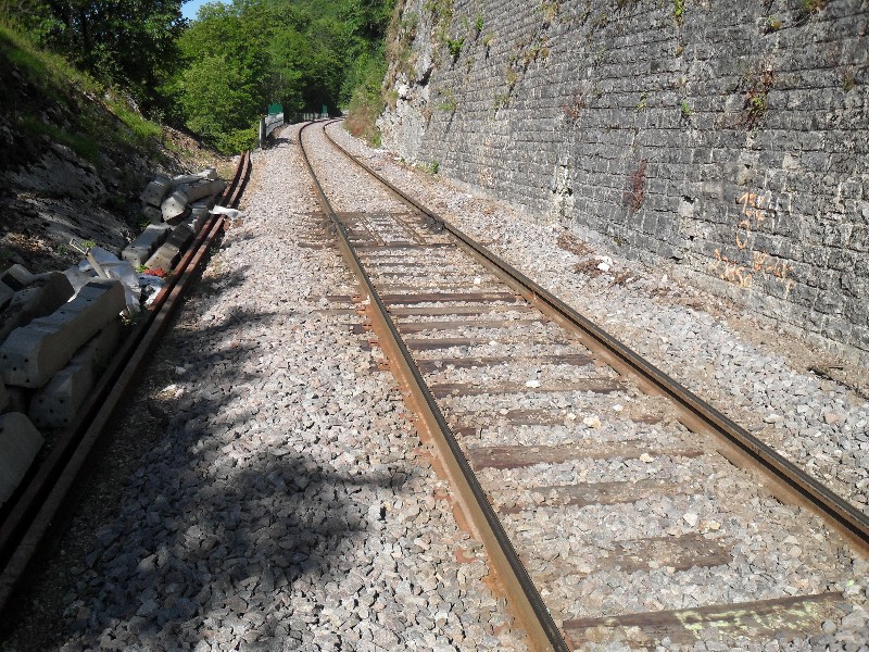 SDC11650.JPG