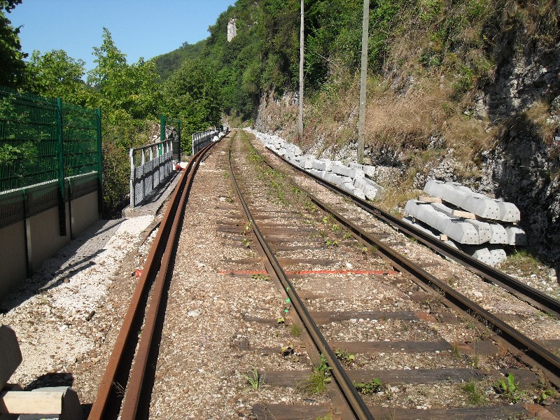 SDC11646.JPG