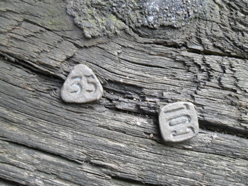 SDC11665.JPG