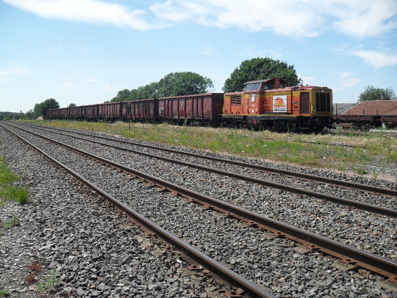 SDC11683.JPG