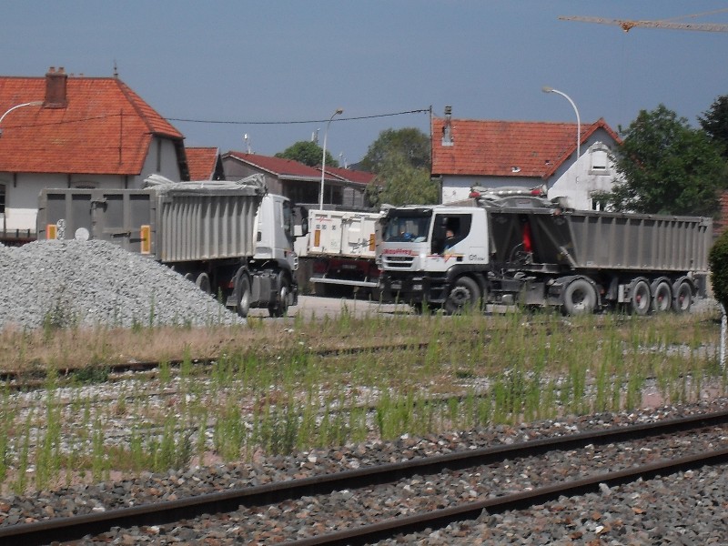 SDC11689.JPG