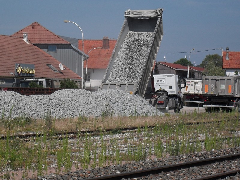 SDC11690.JPG