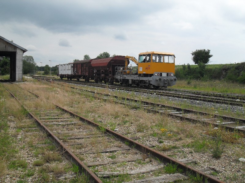 SDC11702.JPG