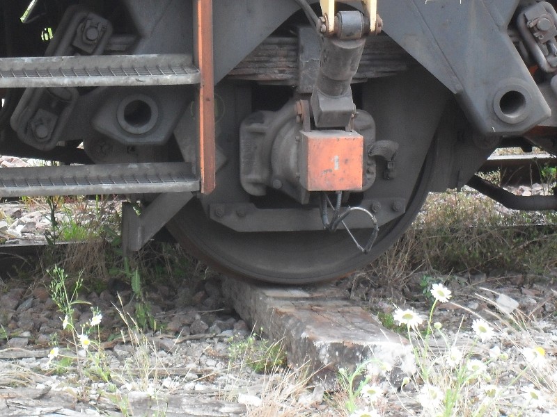 SDC11715.JPG