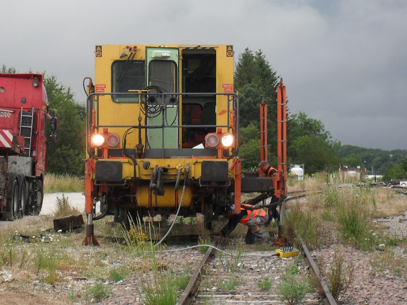 SDC11712.JPG