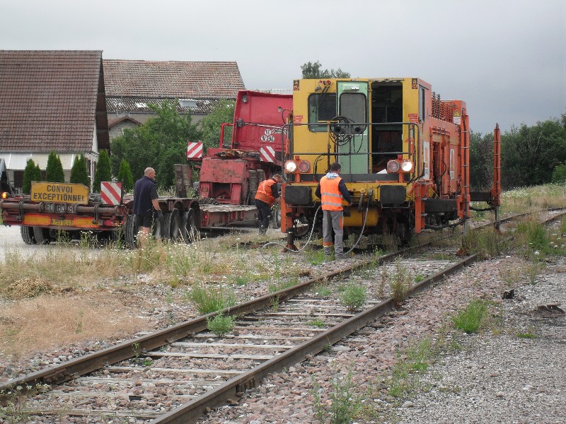 SDC11710.JPG