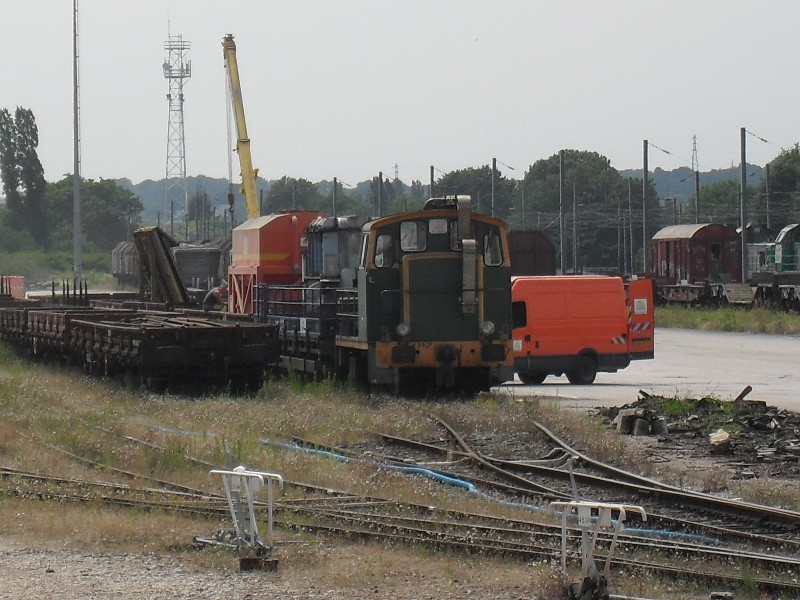 SDC11750.JPG